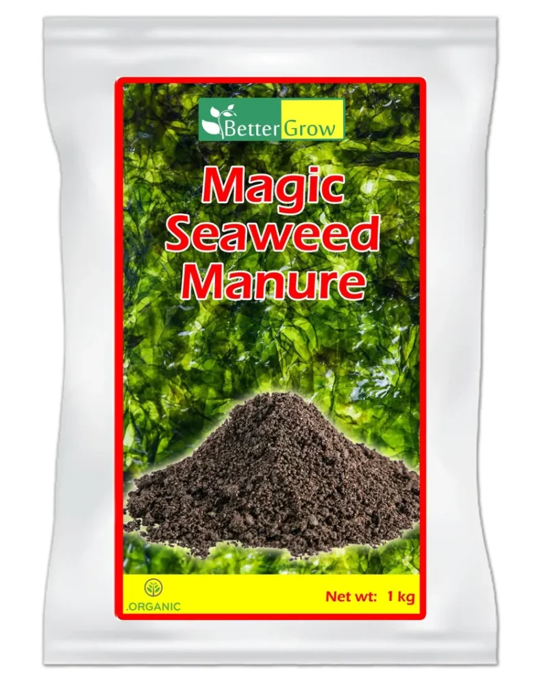 Magic seaweed manure