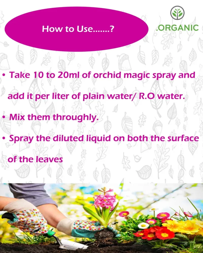 Orchid magic spray